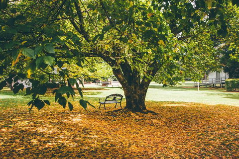 Federation Gardens & Possums Hideaway - VIC Tourism 6