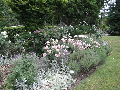 Silvermere - VIC Tourism 4