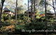 Lemonthyme Wilderness Retreat - thumb 5