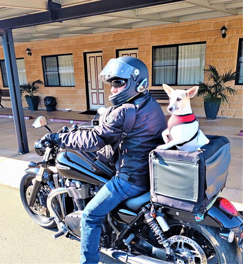 Ascot Lodge Motor Inn Kingaroy - VIC Tourism 2