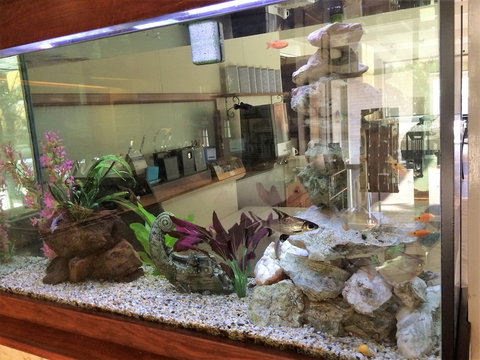 Hospitality Geraldton, SureStay Collection By Best Western - VIC Tourism 6