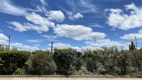 Sapphire City Motor Inn, Inverell - VIC Tourism 3