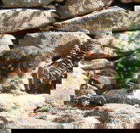 Jenolan Caves House - VIC Tourism