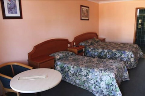 Nandewar Motor Inn - VIC Tourism 4