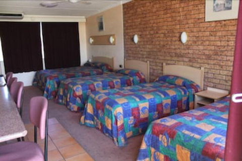 Nandewar Motor Inn - VIC Tourism 3