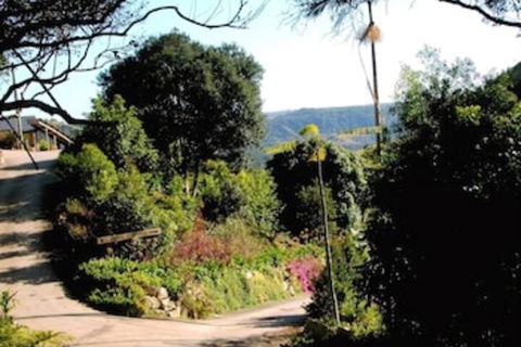 Top Of The Hill - VIC Tourism 3