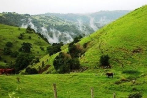 Top Of The Hill - VIC Tourism 1