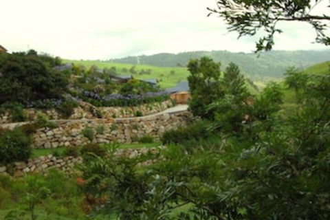 Top Of The Hill - VIC Tourism 5