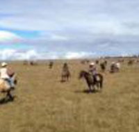 Susan River Homestead - VIC Tourism