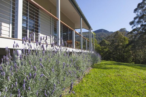 Wilderberry Cottage - VIC Tourism 4