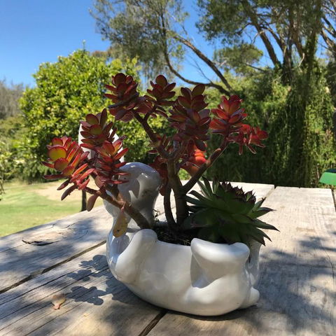 The Fingal Farm - VIC Tourism 3