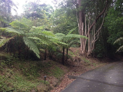 Koompartoo Retreat - VIC Tourism 2