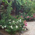 Maldons Eaglehawk Motel - VIC Tourism 0