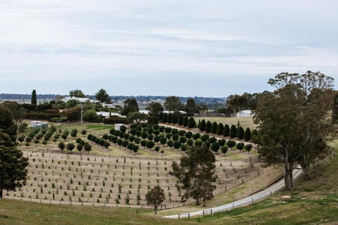 Rivendell East Gippsland - VIC Tourism 6