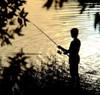 Wooli River Lodges - VIC Tourism
