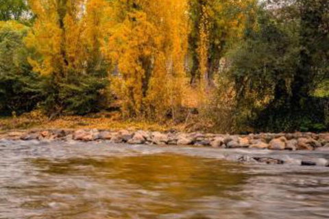Alpine Aspects - VIC Tourism 5