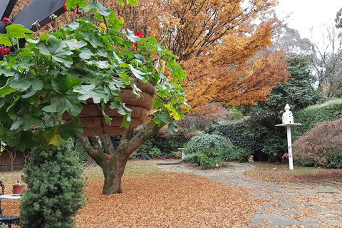 Villa DAmour - VIC Tourism 2