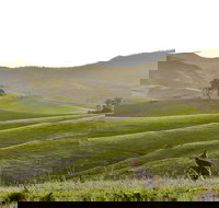 Ketchup's Bank Glamping - VIC Tourism