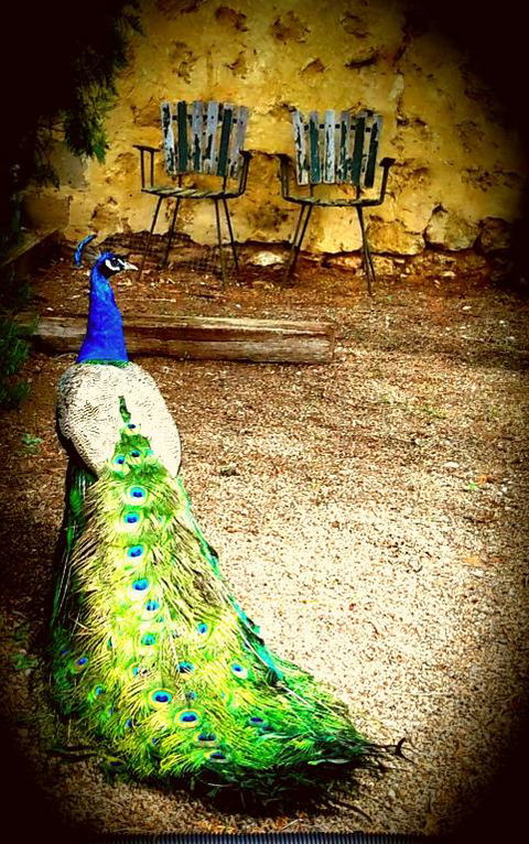 A La Folly - VIC Tourism 4
