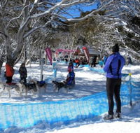 Cloud 9 Alpine Lodge - VIC Tourism