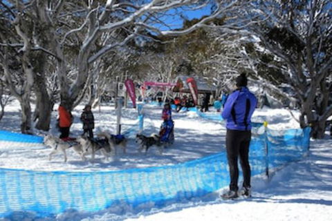 Cloud 9 Alpine Lodge - VIC Tourism 0