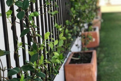 Takalvan Motel - VIC Tourism 1