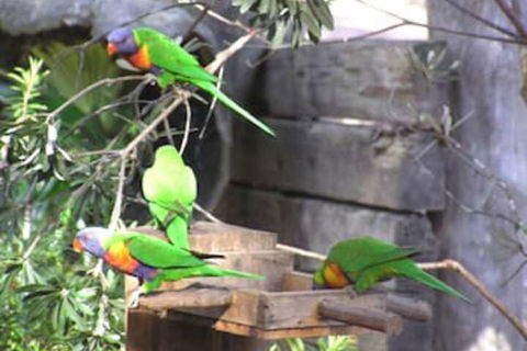 Kianinny Bush Cottages - VIC Tourism 1