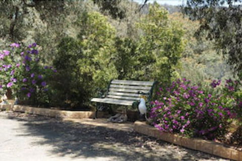 Wild Cherry Bed & Breakfast - VIC Tourism 3