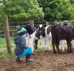 Manderley Park Farmstay B  B - VIC Tourism