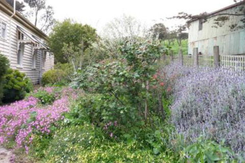 Alvie Cottage - VIC Tourism 1