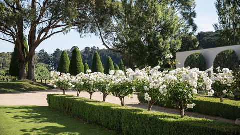 Lancemore Lindenderry Red Hill - VIC Tourism 1