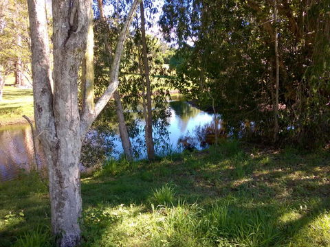 Eumundi Cottages Cottage 1 - VIC Tourism 4