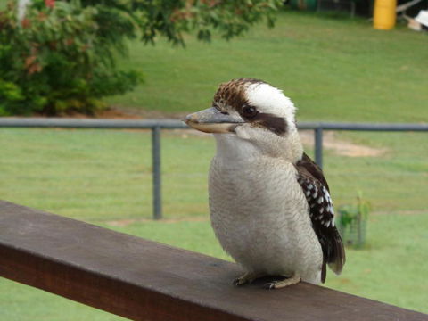 Eumundi Cottages Cottage 1 - VIC Tourism 3