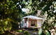 The Little Bush Hut - thumb 1
