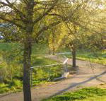 A Suite Spot in the Hills - VIC Tourism