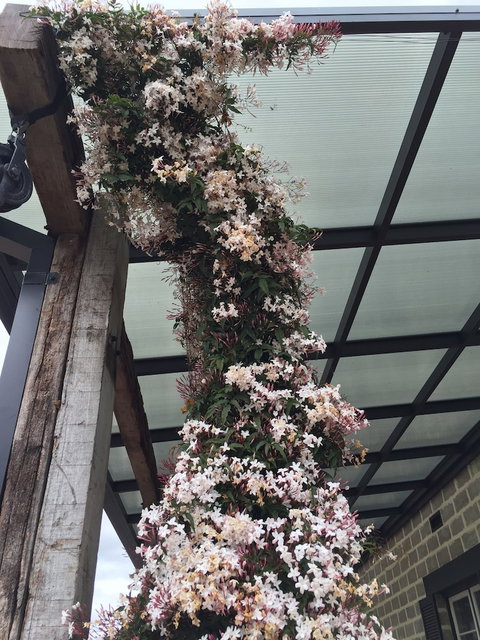 Bakehouse '38 Restaurant & Guesthouse - VIC Tourism 5