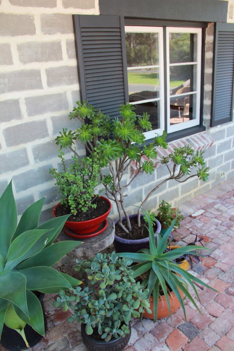 Bakehouse '38 Restaurant & Guesthouse - VIC Tourism 2