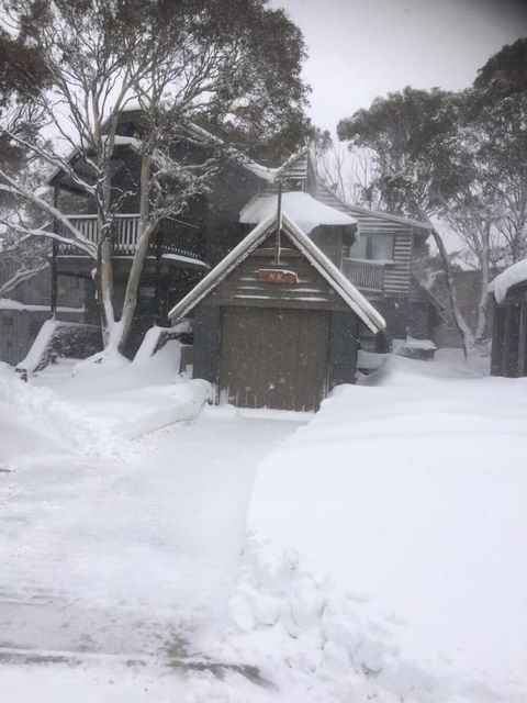 High Knob - VIC Tourism 0