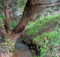 Longwood Retreat - VIC Tourism