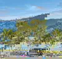 Montipora on the Waterfront