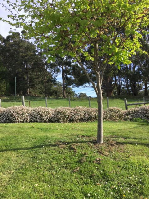 Nextdooratportarthur - VIC Tourism 3