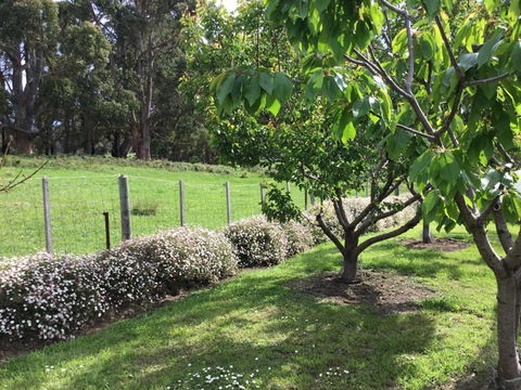 Nextdooratportarthur - VIC Tourism 1