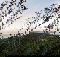 Onestep Airlie Retreat