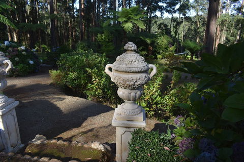 Forest Edge Cottage At Merrow Cottages - VIC Tourism 2