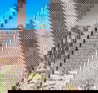 Blackbird - VIC Tourism