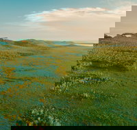 Habitat Noosa - VIC Tourism