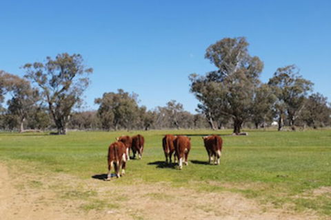 Jindera Park - VIC Tourism 0