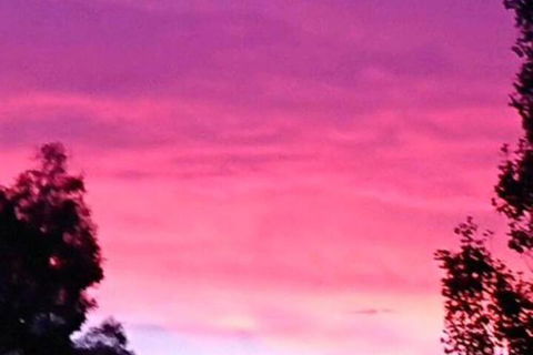 Abelia BIG SPA NO 1 Cottage - VIC Tourism 6