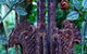 Whitsundays Bnb Retreat - thumb 6