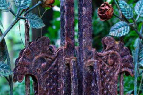 Whitsundays Bnb Retreat - VIC Tourism 6